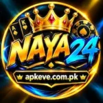 NAYA24 Game/logo