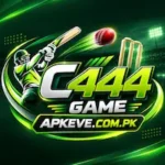 C444 Game