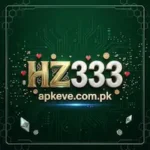 HZ333 Game