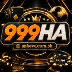 999HA Game