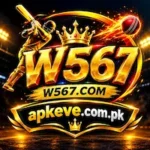 W567 Game