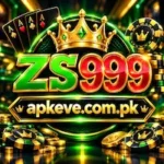 ZS999 Game/logo