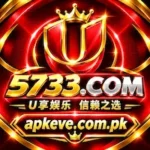 U5733 Game/logo