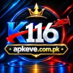 K116 Game