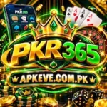PKR365 Game